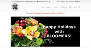 Digital Marketing for Bloomers